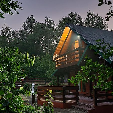 Vikendica Crkvina Villa Kolašin Exteriör bild