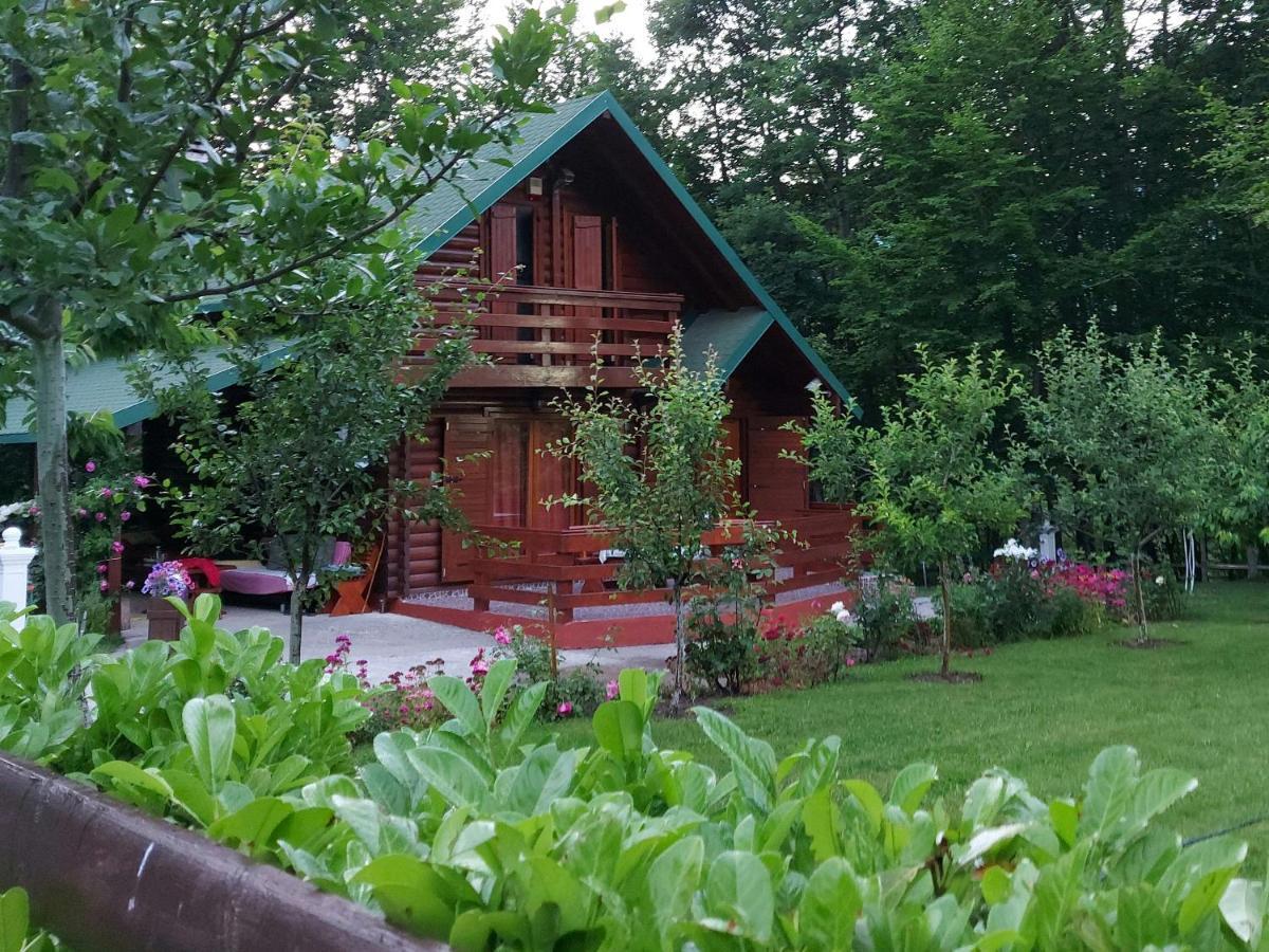 Vikendica Crkvina Villa Kolašin Exteriör bild