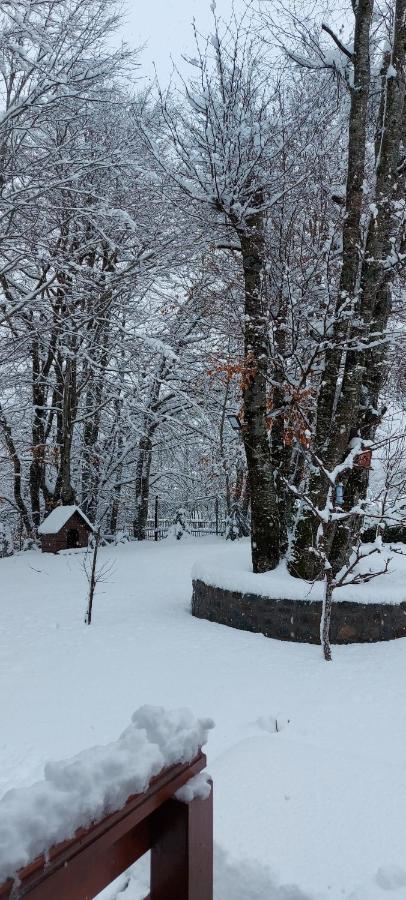 Vikendica Crkvina Villa Kolašin Exteriör bild