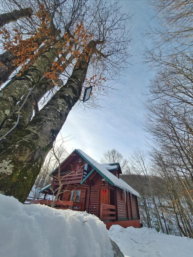 Vikendica Crkvina Villa Kolašin Exteriör bild