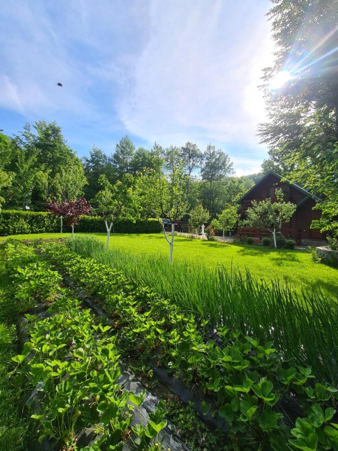 Vikendica Crkvina Villa Kolašin Exteriör bild