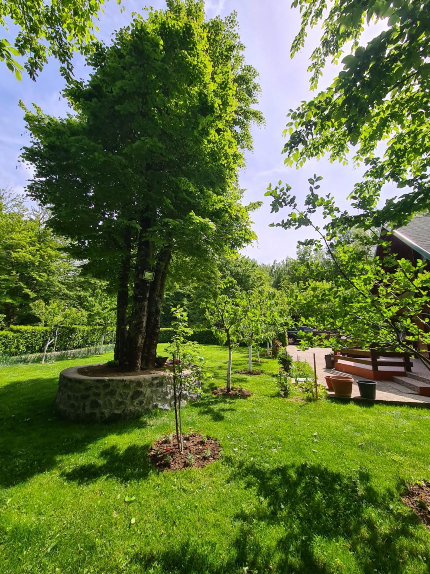 Vikendica Crkvina Villa Kolašin Exteriör bild