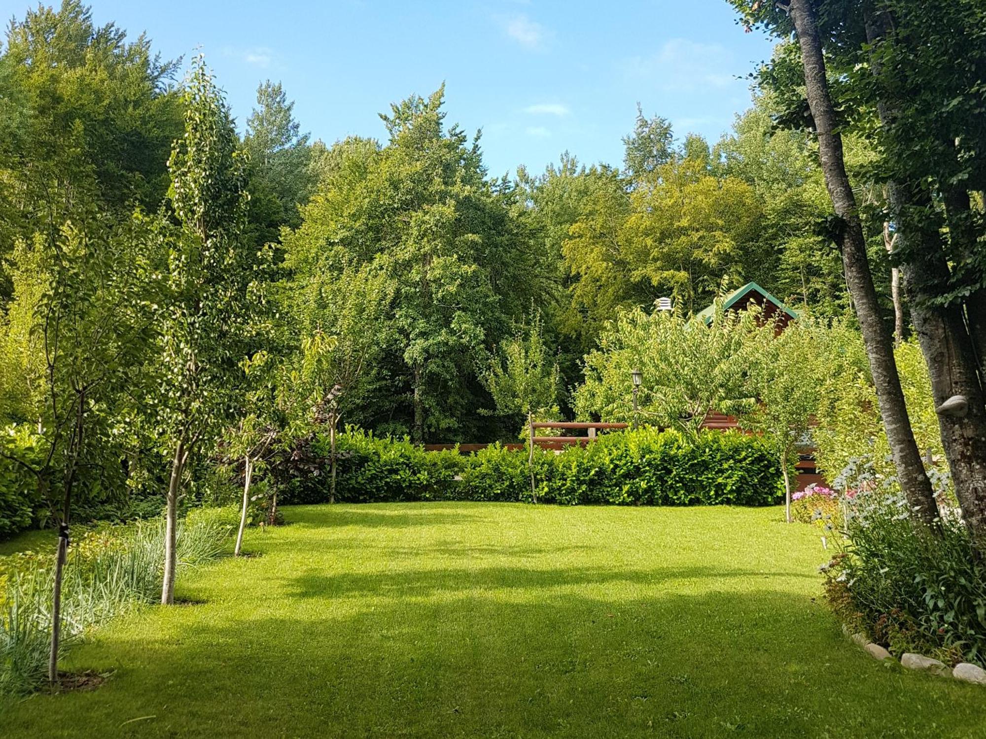 Vikendica Crkvina Villa Kolašin Exteriör bild