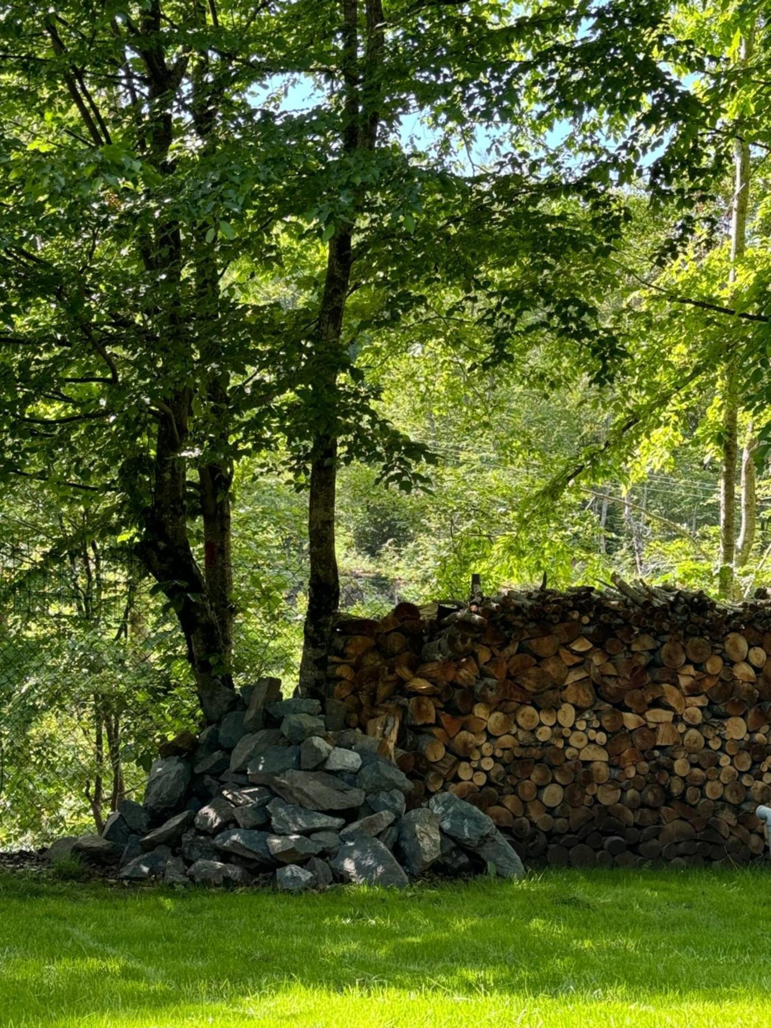 Vikendica Crkvina Villa Kolašin Exteriör bild