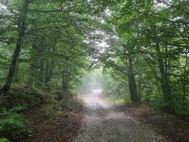 Vikendica Crkvina Villa Kolašin Exteriör bild